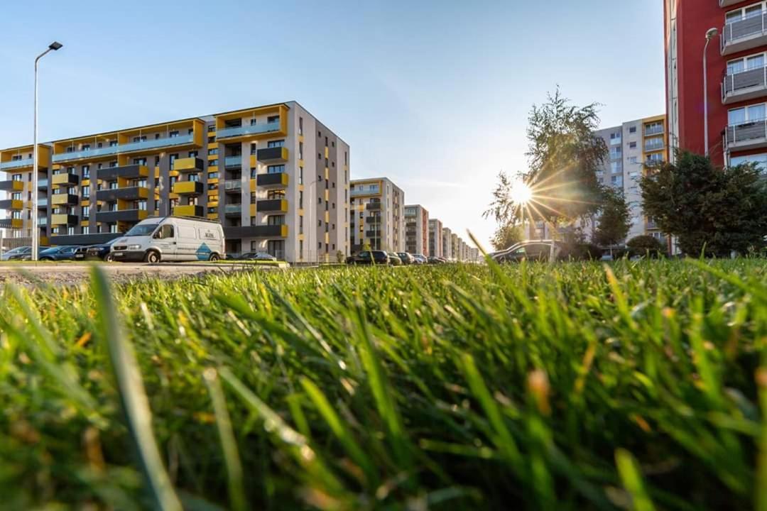 Avantgarden Brasov, Perfect - 1 * Braşov