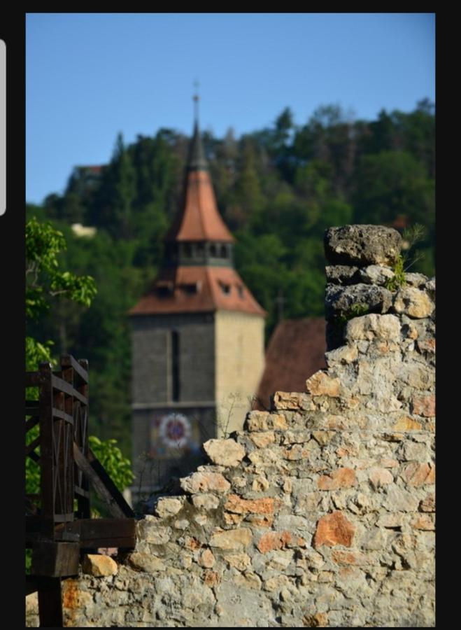Avantgarden Brasov, Perfect - 1 * Braşov