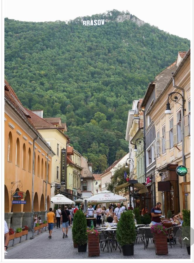 Avantgarden Brasov, Perfect - 1 *