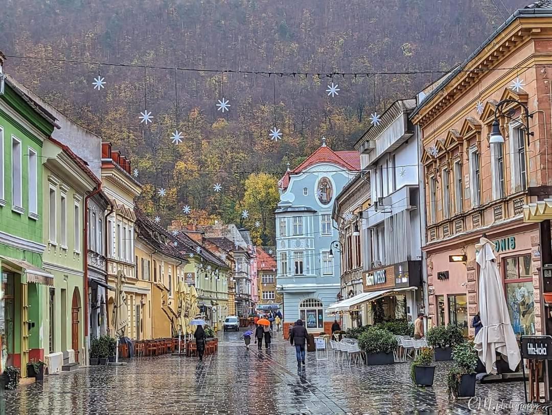 Avantgarden Brasov, Perfect - 1 *