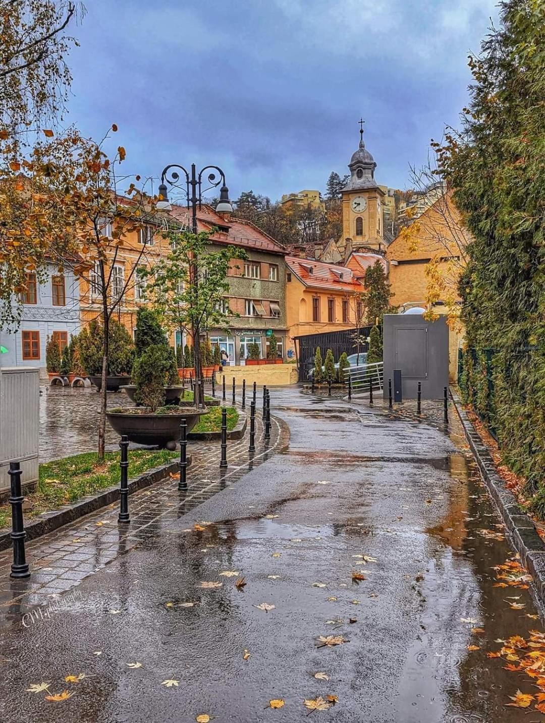 Avantgarden Brasov, Perfect - 1 Braşov